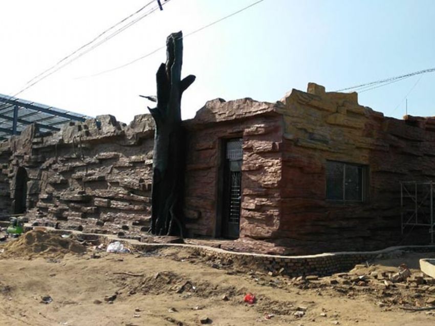 點擊查看詳細信息<br>標題：假房子 閱讀次數：1379