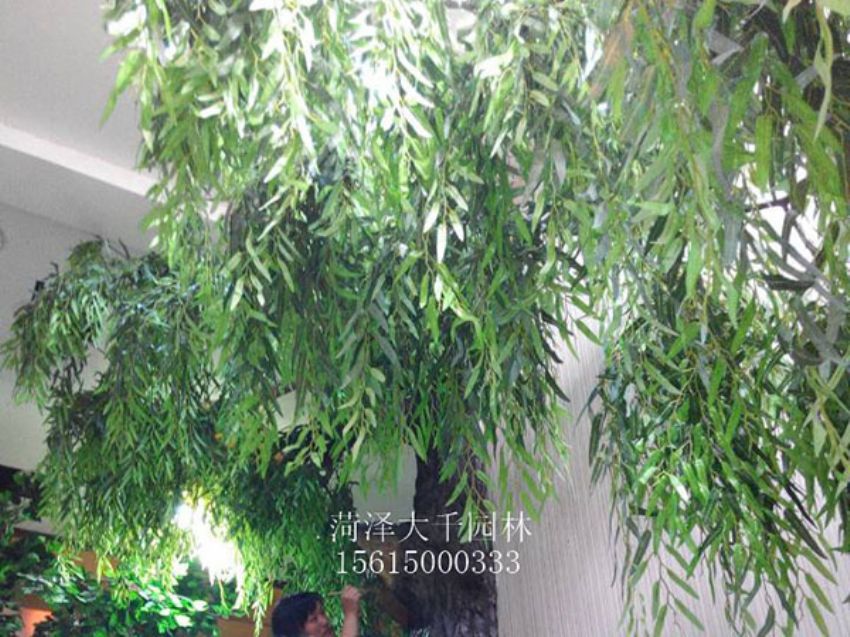 點擊查看詳細信息<br>標題：假樹 閱讀次數：1433