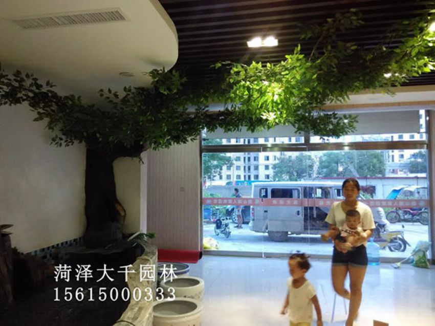 點擊查看詳細信息<br>標題：假樹 閱讀次數：1460