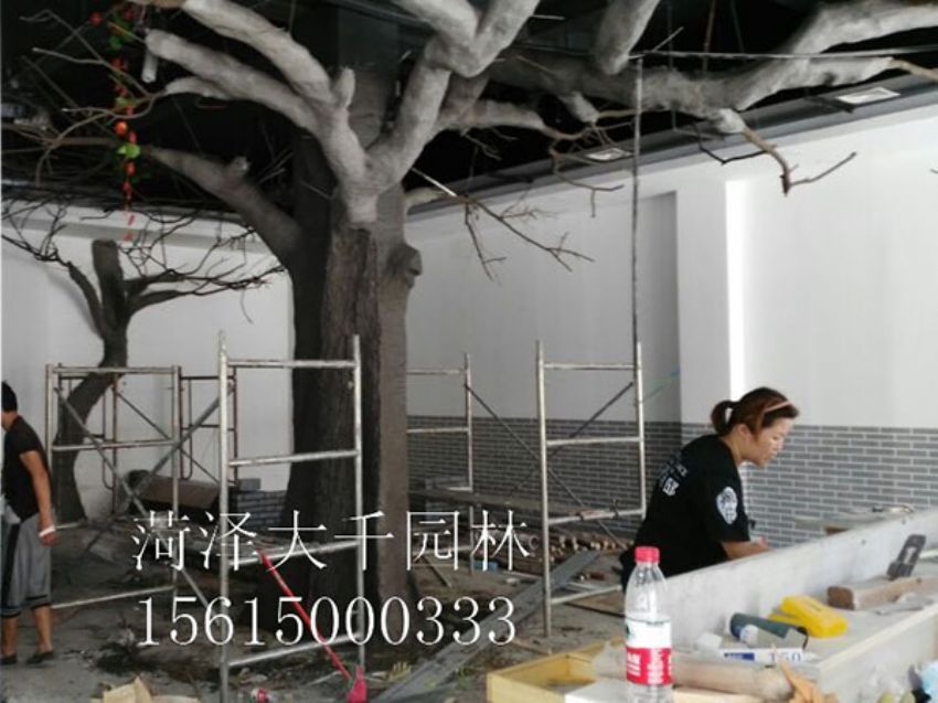 點擊查看詳細信息<br>標題：假樹 閱讀次數：1411