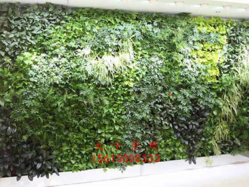 點擊查看詳細信息<br>標題：綠植墻 閱讀次數：2475