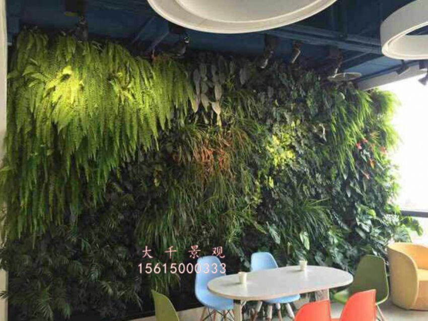 點擊查看詳細信息<br>標題：綠植墻 閱讀次數：2011