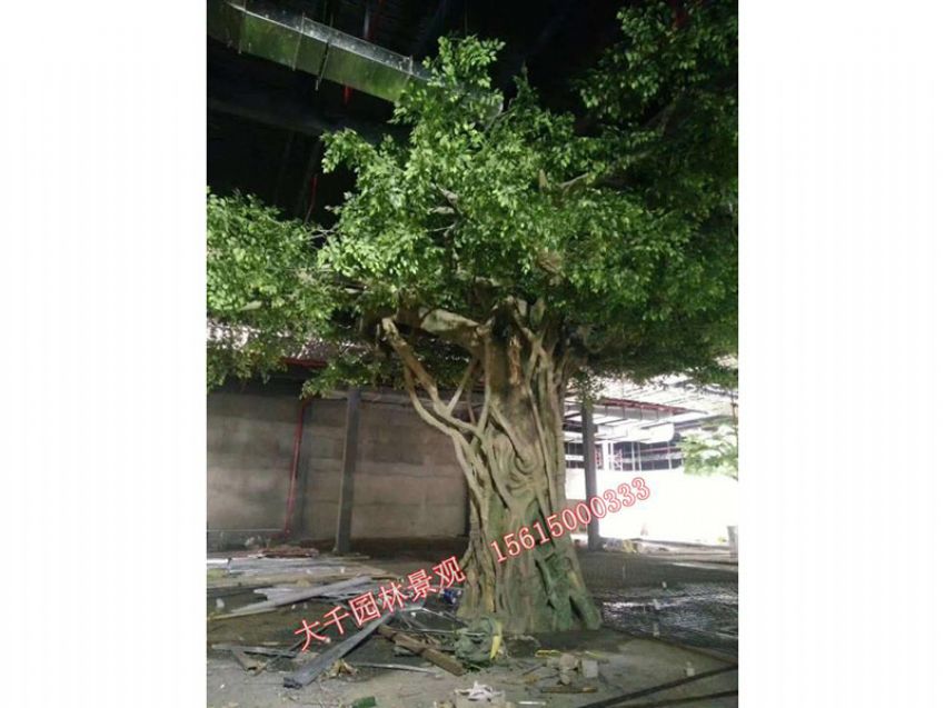 點(diǎn)擊查看詳細(xì)信息<br>標(biāo)題：假樹(shù) 閱讀次數(shù)：2532