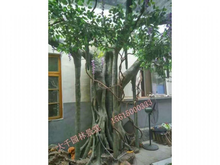 點(diǎn)擊查看詳細(xì)信息<br>標(biāo)題：假樹(shù) 閱讀次數(shù)：2588